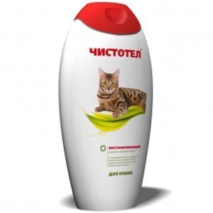 ТОП-10 шампуней от блох для кошек и котят: лучшие средства, правила использования